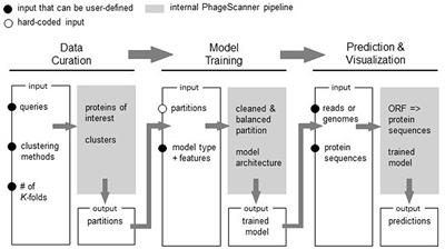 PhageScanner: a reconfigurable machine learning framework for bacteriophage genomic and metagenomic feature annotation